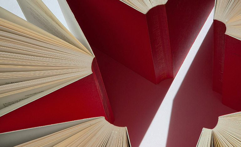 Aerial view of open red books.