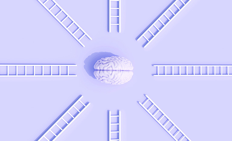 A human brain circled with step ladders creating an image of support.