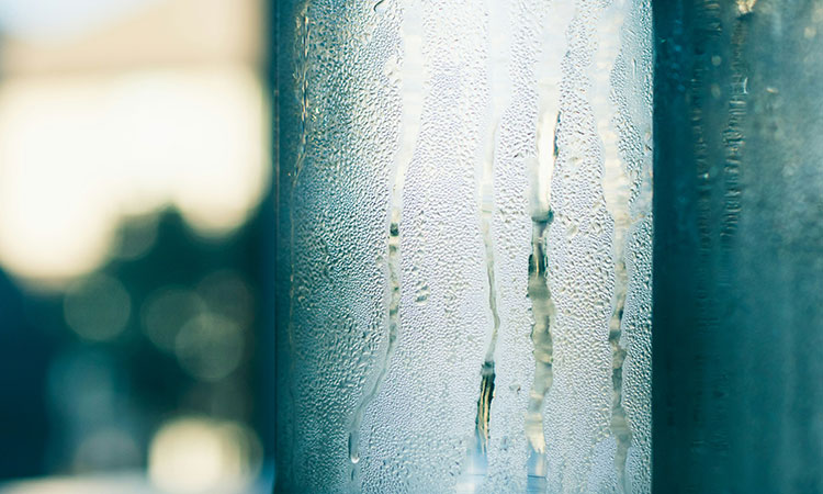 BTApr2024_SideBar_Sweat