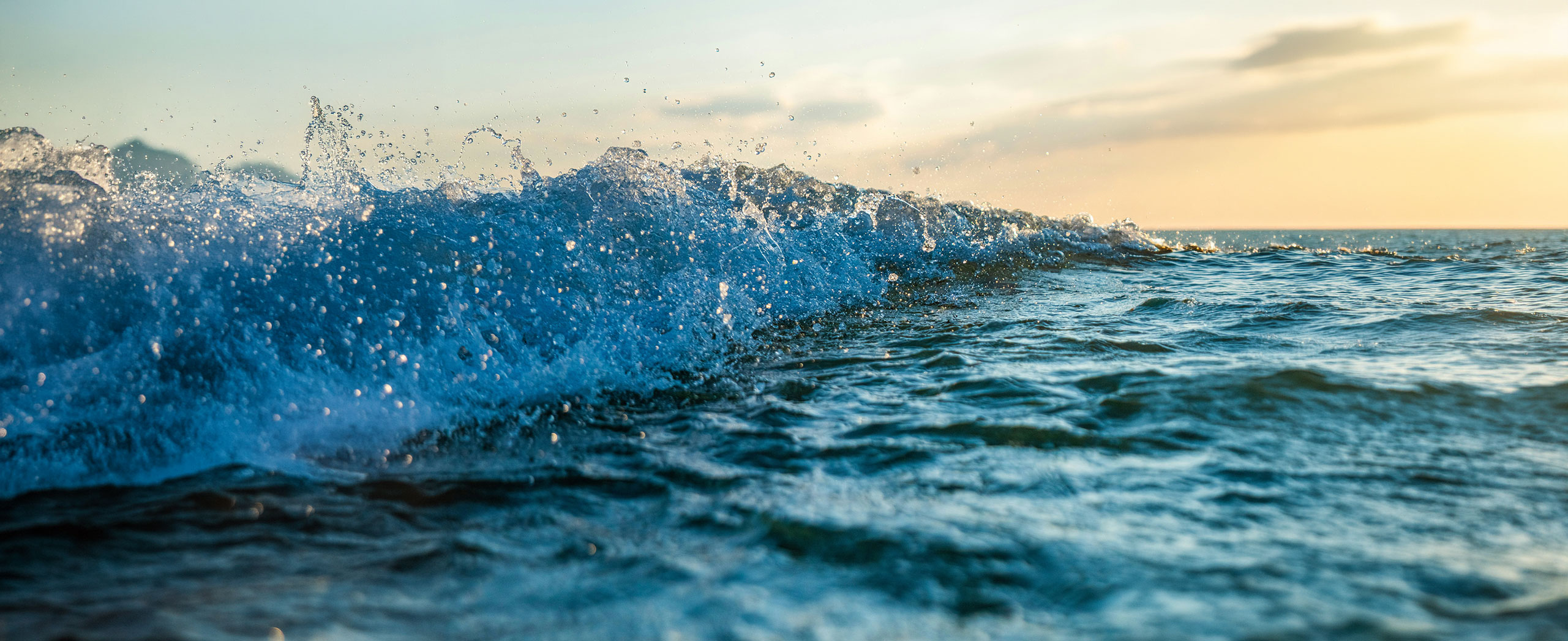 Close up of an ocean wave.