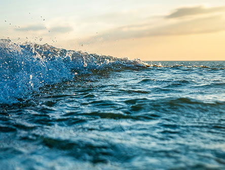 Close up of an ocean wave.