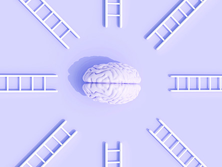 A human brain circled with step ladders creating an image of support.