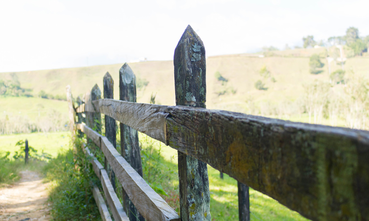 Old wooden fence beside a dirt path with farmland in the background