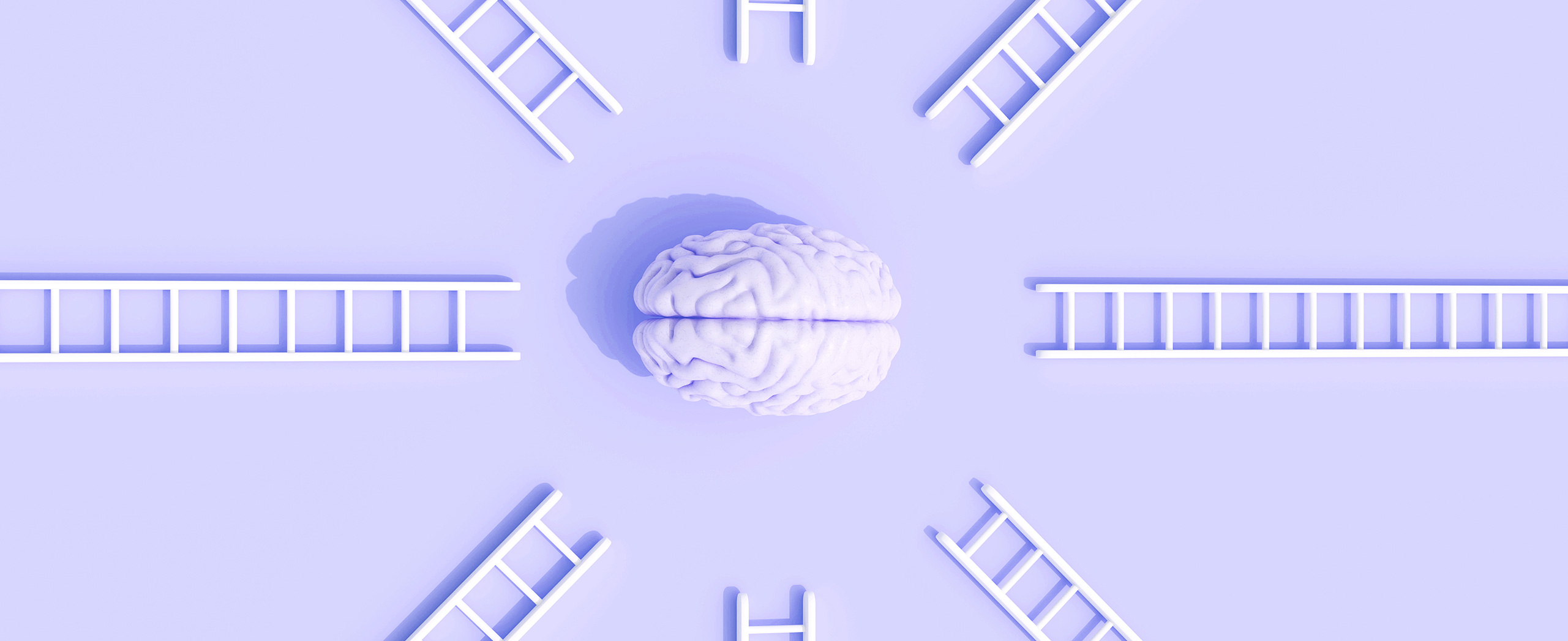 A human brain circled with step ladders creating an image of support.
