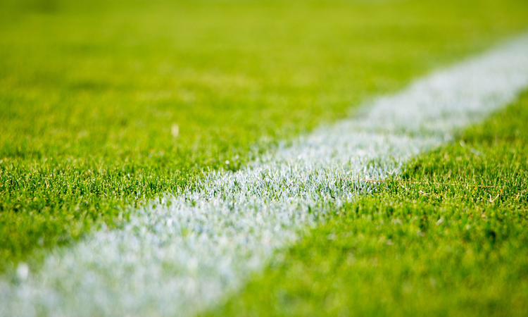 Close-up of lime green turf with painted white line