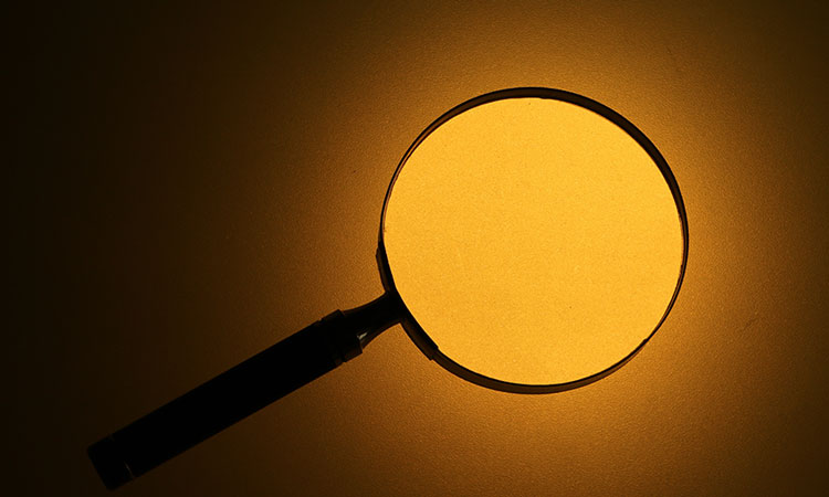 Workplace Investigations