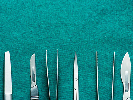 Surgical instruments lined up in a row.