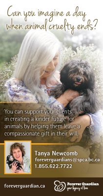 SPCA: Can you imagine a day when animal cruelty ends?