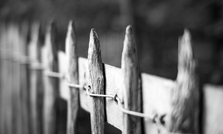 Fence